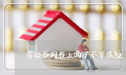 劳动合同书上面写不写保险/2023040105847