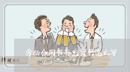 劳动合同书补充资料怎么写/2023060328169