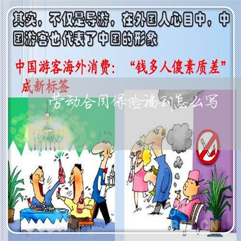 劳动合同保险福利怎么写/2023022679471