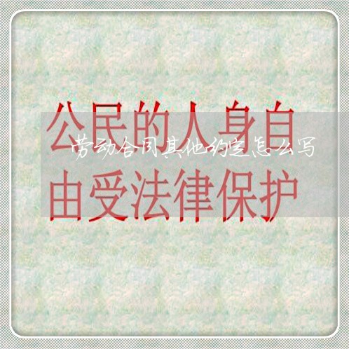 劳动合同其他约定怎么写/2023041057371