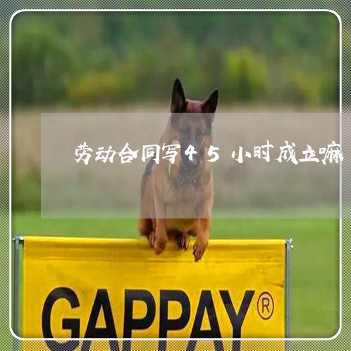 劳动合同写45小时成立嘛/2023060183905