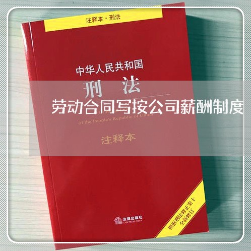 劳动合同写按公司薪酬制度/2023042063492