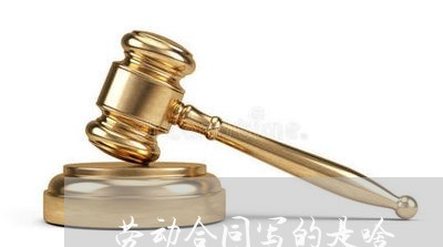 劳动合同写的是啥/2023022661593 劳动合同写的是啥/2023022661593