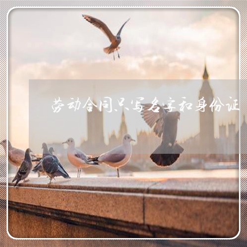 劳动合同只写名字和身份证/2023060694703 劳动合同只写名字和身份证/2023060694703