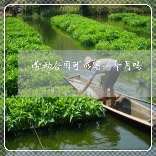 劳动合同可以写一个月吗/2023061629461