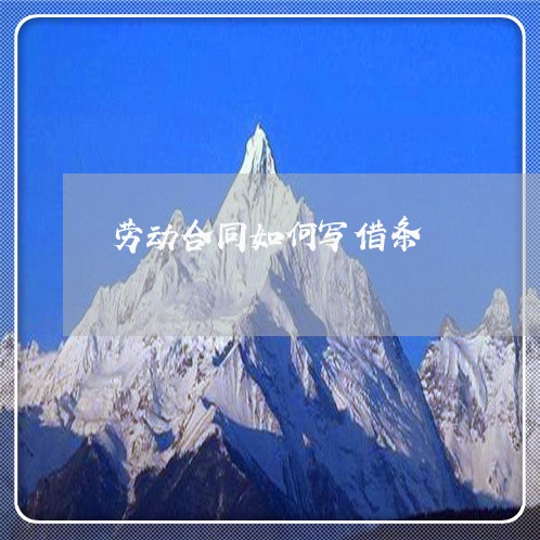 劳动合同如何写借条/2023022717372