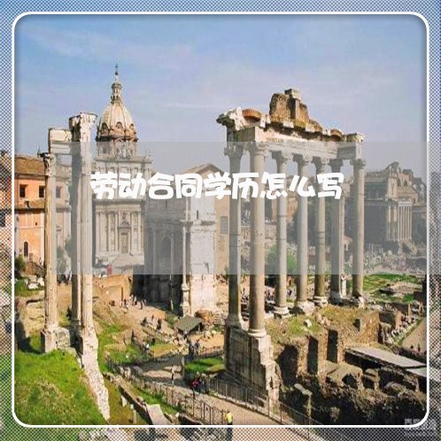 劳动合同学历怎么写/2023041230482 劳动合同学历怎么写/2023041230482