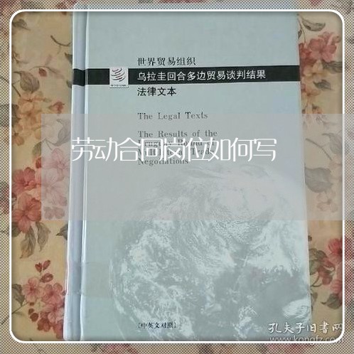 劳动合同岗位如何写/2023041193914