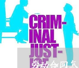 劳动合同怎么写不出来/2023041768262