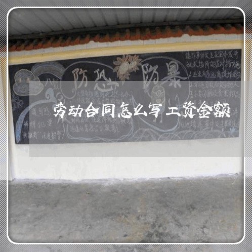 劳动合同怎么写工资金额/2023041484725