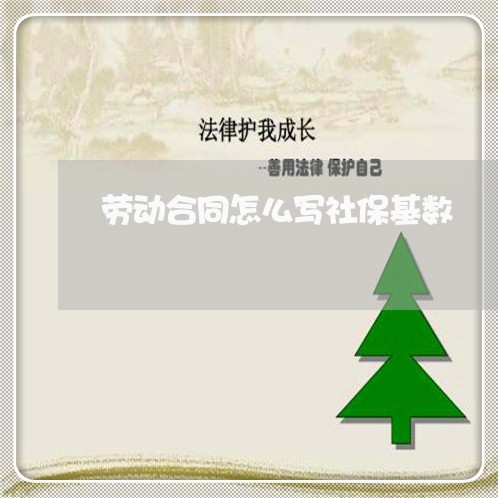 劳动合同怎么写社保基数/2023022636269 劳动合同怎么写社保基数/2023022636269