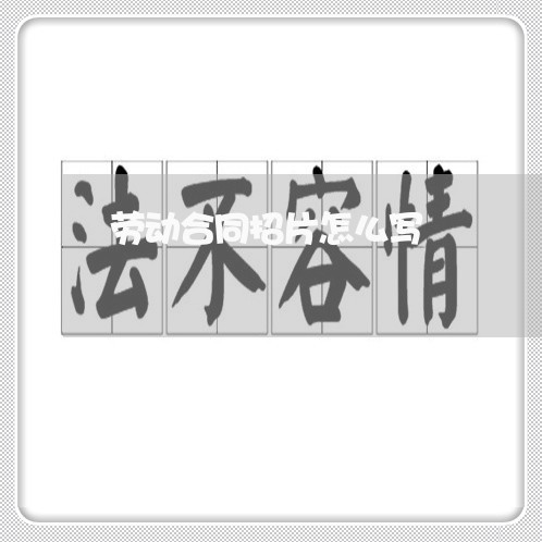 劳动合同招片怎么写/2023022740572 劳动合同招片怎么写/2023022740572