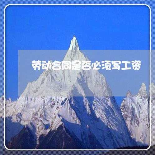 劳动合同是否必须写工资/2023042317251