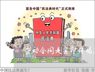 劳动合同是复印件吗怎么写/2023060772735 劳动合同是复印件吗怎么写/2023060772735