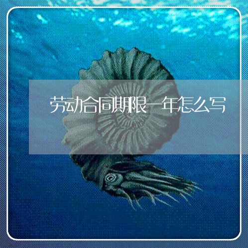 劳动合同期限一年怎么写/2023061646147