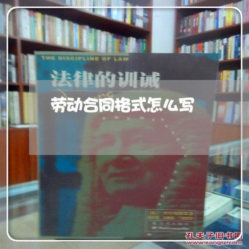 劳动合同格式怎么写/2023022712825