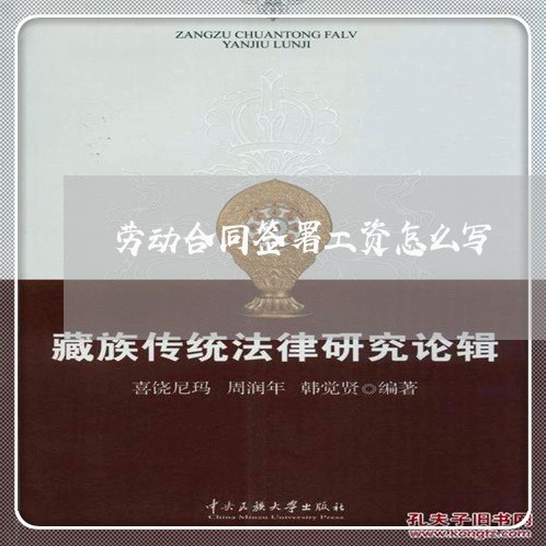 劳动合同签署工资怎么写/2023041182926