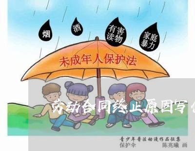 劳动合同终止原因写什么/2023041274847 劳动合同终止原因写什么/2023041274847