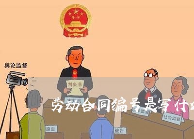 劳动合同编号是写什么时候的/2023060740484