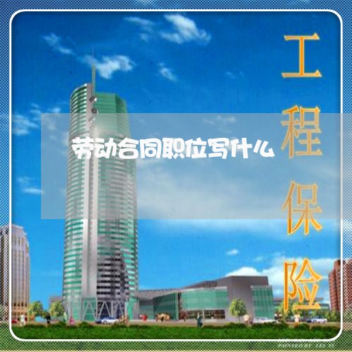 劳动合同职位写什么/2023040286937