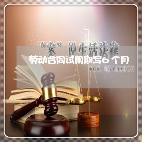劳动合同试用期写6个月/2023061605140