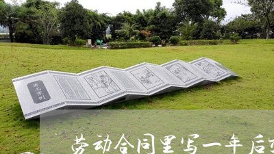 劳动合同里写一年后交社保/2023061607948 劳动合同里写一年后交社保/2023061607948