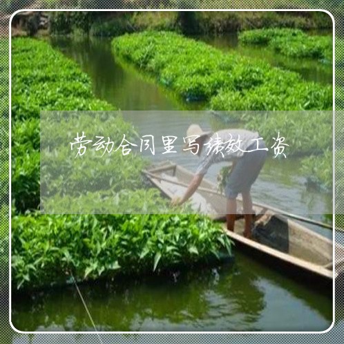 劳动合同里写绩效工资/2023022723713