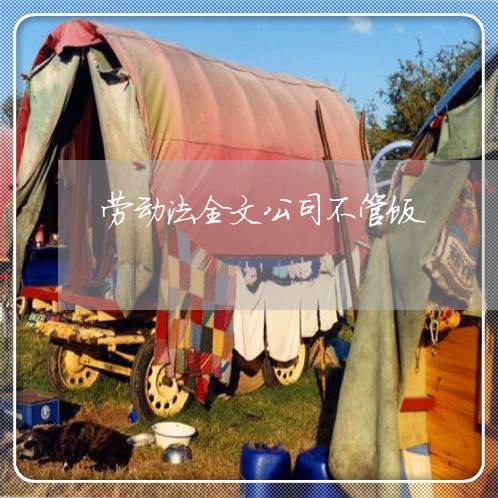 劳动法全文公司不管饭 劳动法全文公司不管饭