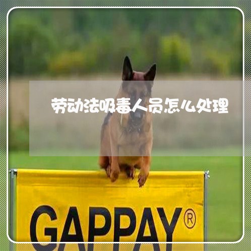 劳动法吸毒人员怎么处理 劳动法吸毒人员怎么处理