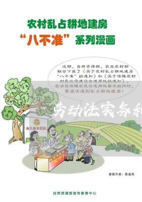 劳动法实务和劳动合同法