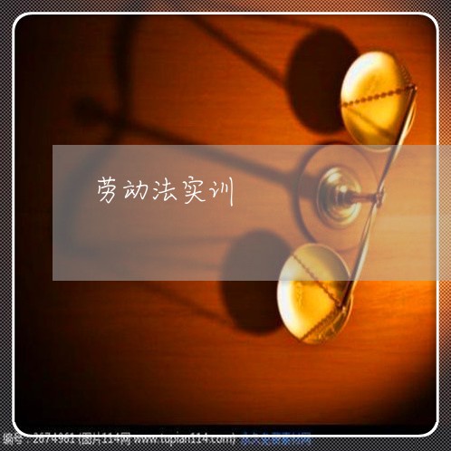 劳动法实训