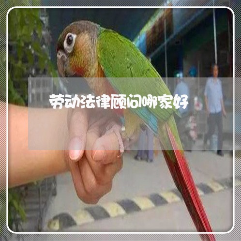 劳动法律顾问哪家好/2023061716049