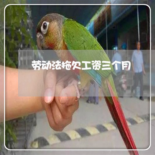 劳动法拖欠工资三个月