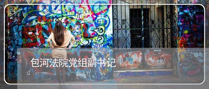 包河法院党组副书记