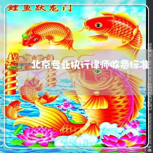 北京专业执行律师收费标准