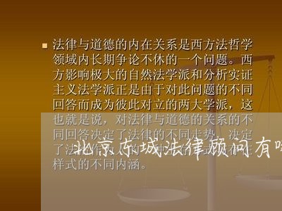 北京东城法律顾问有哪些/2023061906046