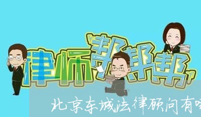 北京东城法律顾问有哪些/2023061951483
