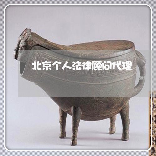 北京个人法律顾问代理/2023061716035