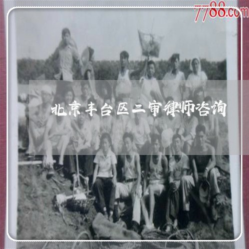 北京丰台区二审律师咨询