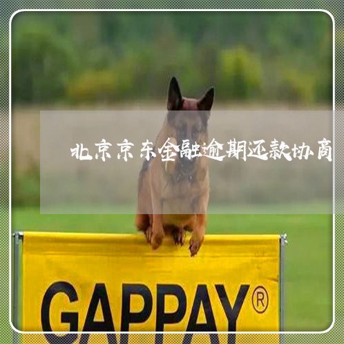 北京京东金融逾期还款协商