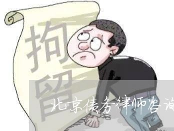 北京债务律师咨询网站咨询