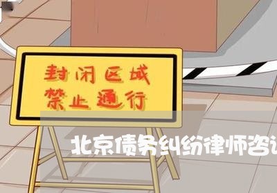 北京债务纠纷律师咨询电话/2023031616930