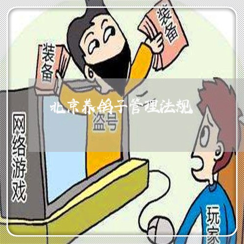 北京养鸽子管理法规 北京养鸽子管理法规