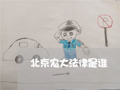 北京农大法律是谁