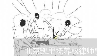 北京凯里抚养权律师事务所/2023031607946