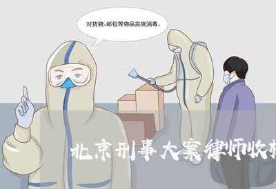 北京刑事大案律师收标准/2023031782515