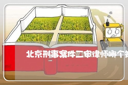 北京刑事案件二审律师哪个知名