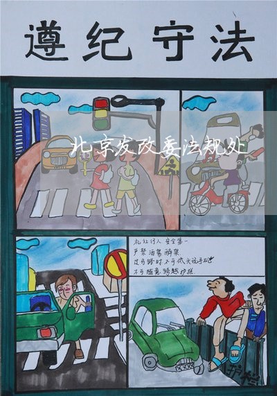 北京发改委法规处 北京发改委法规处