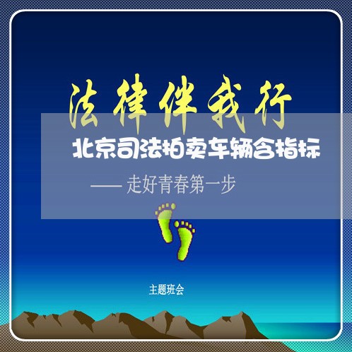 北京司法拍卖车辆含指标 北京司法拍卖车辆含指标