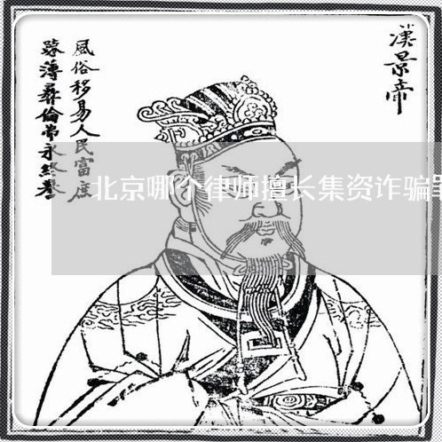 北京哪个律师擅长集资诈骗罪/2023031769503